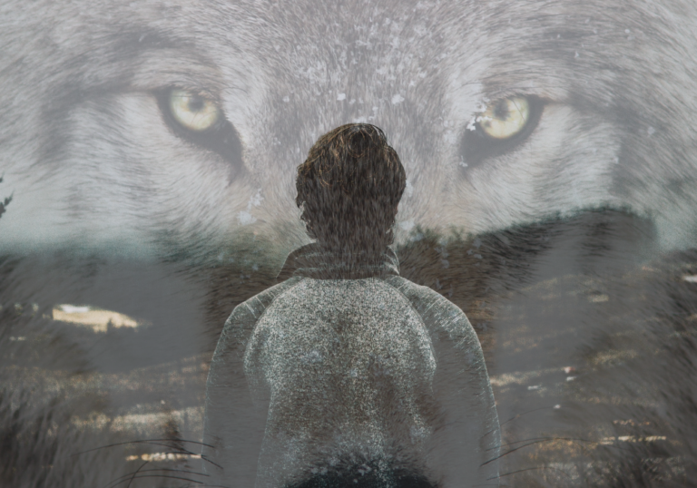 Lone Wolf Personality:12 Traits, Reasons, and Myths Debunked