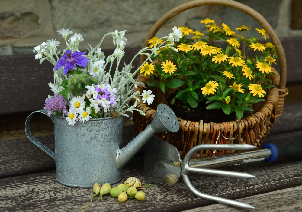 Start an Indoor Gardening