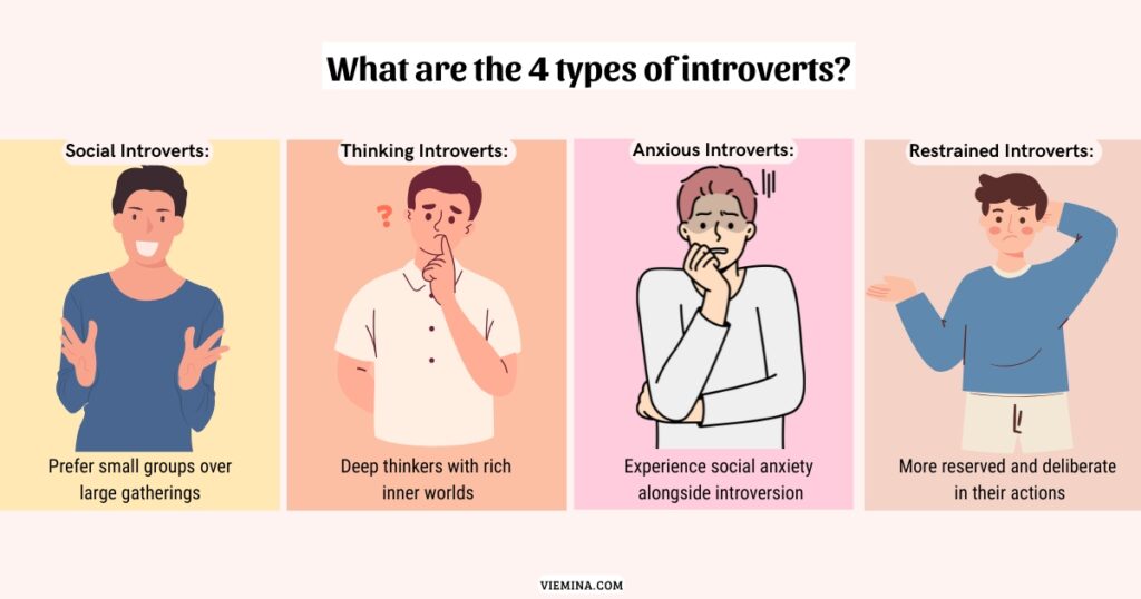 What are the 4 types of introverts